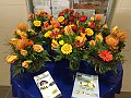 BuliFinale20150221-Wettkampftag (19)